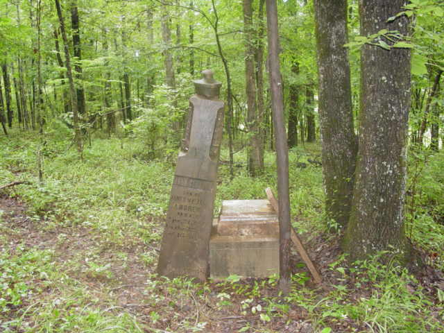 Andrews Marker