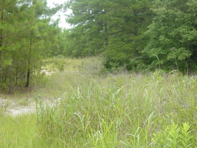 Mt. Olympus Quarry